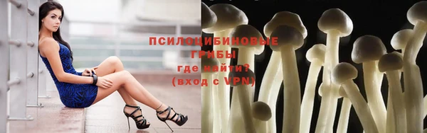 прущая мука Магас