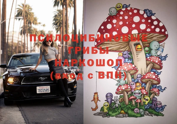 стаф Магадан
