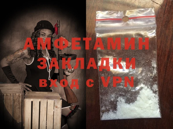стаф Шадринск