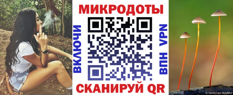 OMG ONION  Ряжск  Псилоцибиновые грибы Psilocybe  закладки 